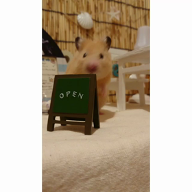 海カフェの画像