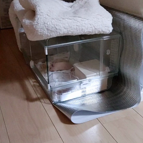 匂わせの画像