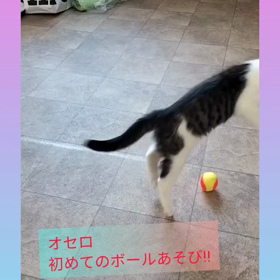 2023/12/01の画像