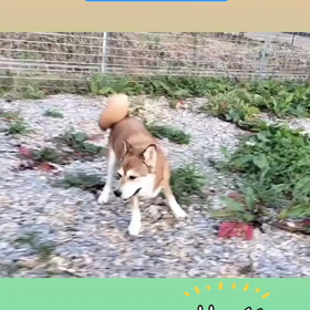 2023/11/04の画像