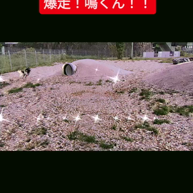 2023/09/23の画像
