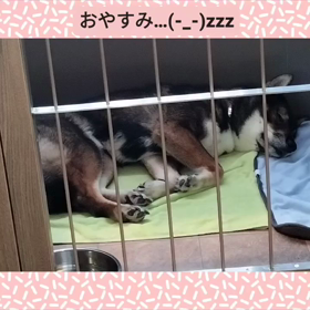 2023/09/29の画像