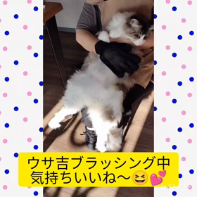 2023/09/16の画像