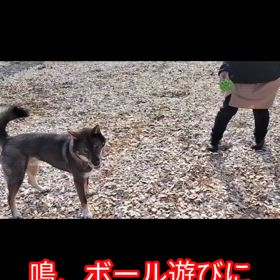 2024/03/14の画像