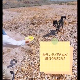 2024/03/22の画像