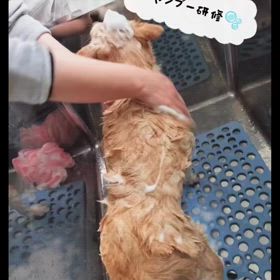2024/03/20の画像