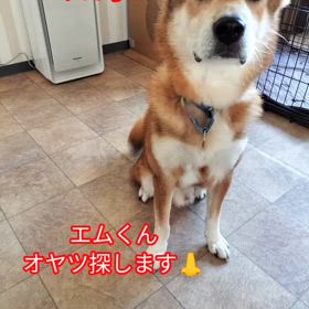 2024/03/13の画像