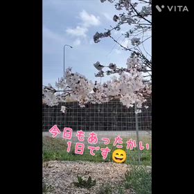 2024/04/07の画像