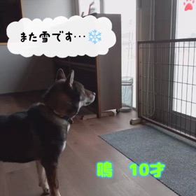 2024/03/21の画像