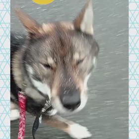 2024/02/24の画像
