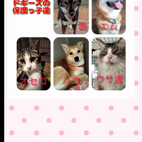 2023/12/31の画像