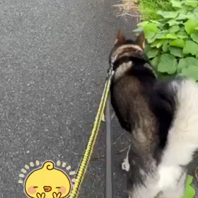 2023/09/09の画像