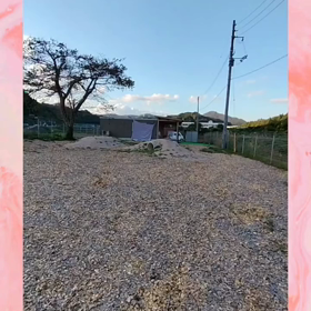 2023/10/26の画像