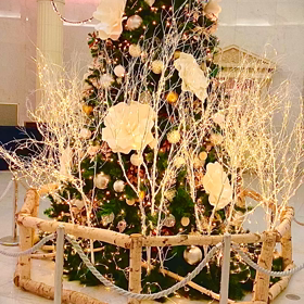 早くもクリスマス♪の画像