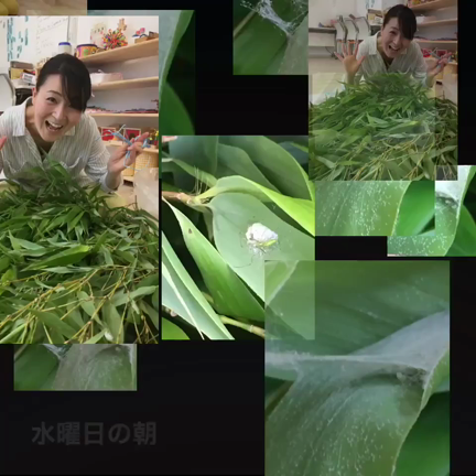 スクール準備中に大発見！の記事動画