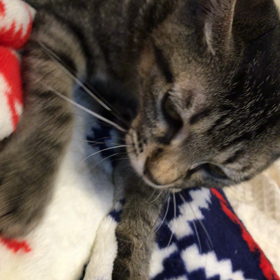 フミフミの画像