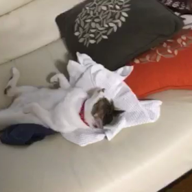 アピール2の画像