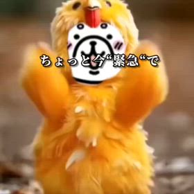 あの日記があの歌がバズり…”こんな歌しってた？”の画像