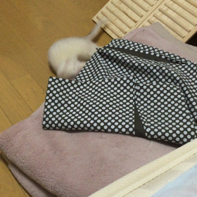 ワタシは元気ですの画像