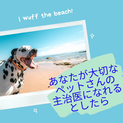 あなたが大切な人の主治医になれるとしたらの記事動画