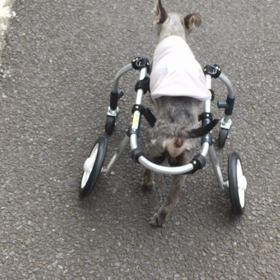 病院の日の画像