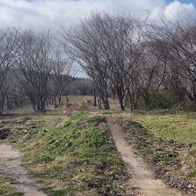 トレイル整備の画像