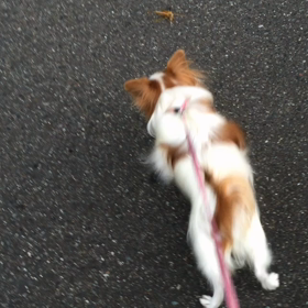 もうちょっとの画像