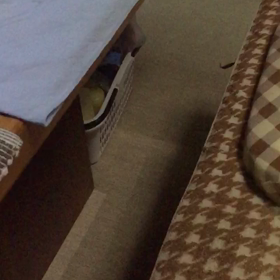 ふわりんちょの画像