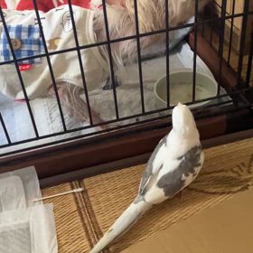 記録の画像