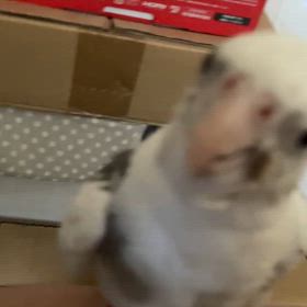 記録の画像