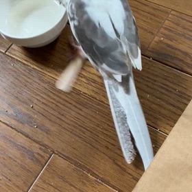 記録の画像