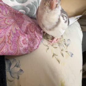 記録の画像
