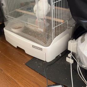 記録の画像