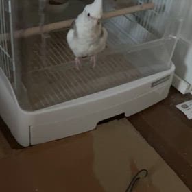 記録の画像