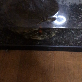 …の画像