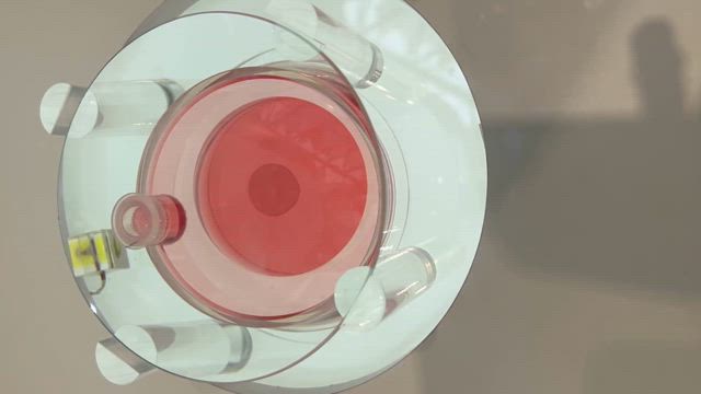 2回目の万博へ②の記事動画