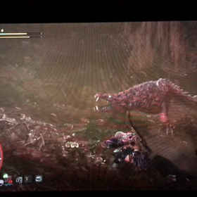 mhw 日記 Part5 少しずつ装備が！の画像
