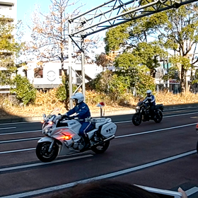 お年始の画像