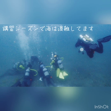 可愛い○○に出会った〜♡の記事動画