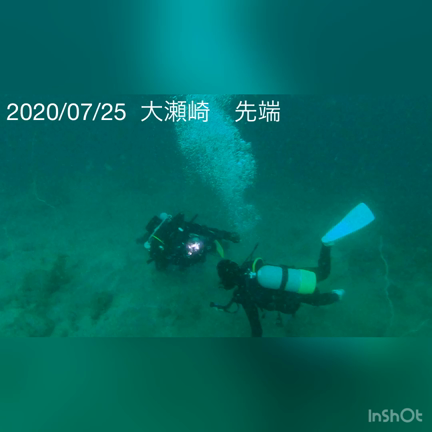 珍しいウミウシ！その名はボブ！！（違）の記事動画
