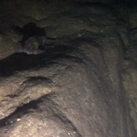 水中洞窟探検の画像