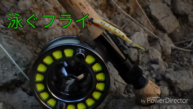 TOPでブラックバスは面白い！を再認識の記事動画