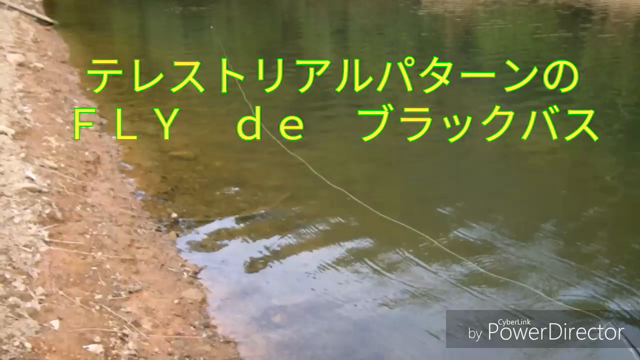 真夏のテレストリアルパターンＦＬＹｄｅブラックバスの記事動画