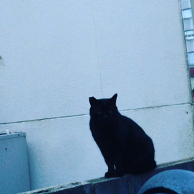 久しぶりにの画像
