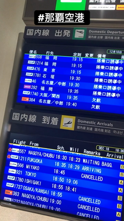 #JAL929 #日本航空 #飛行機 今日のフライト #空の旅 #空港の記事動画