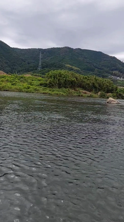 釣りブログ　始動！の記事動画