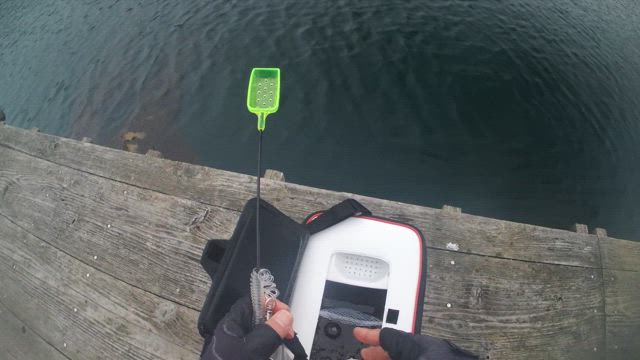 エビ撒き釣り　実証（動画あり）の記事動画