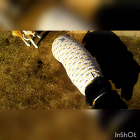 ふぅちゃん、またねの画像