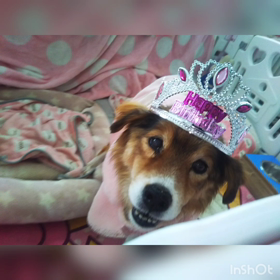 ふぅちゃんタマタマ15才の画像