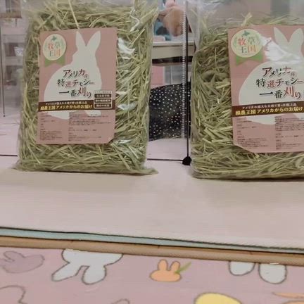 たまにはの記事動画